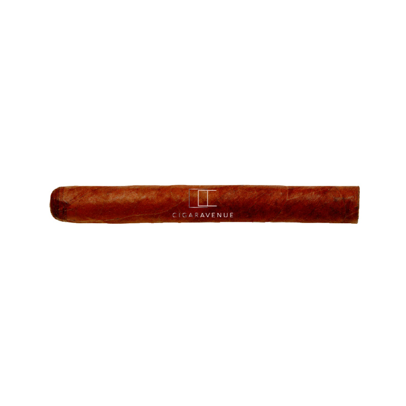 HDM LE HOYO DU PRINCE SLB 25 CIGARS