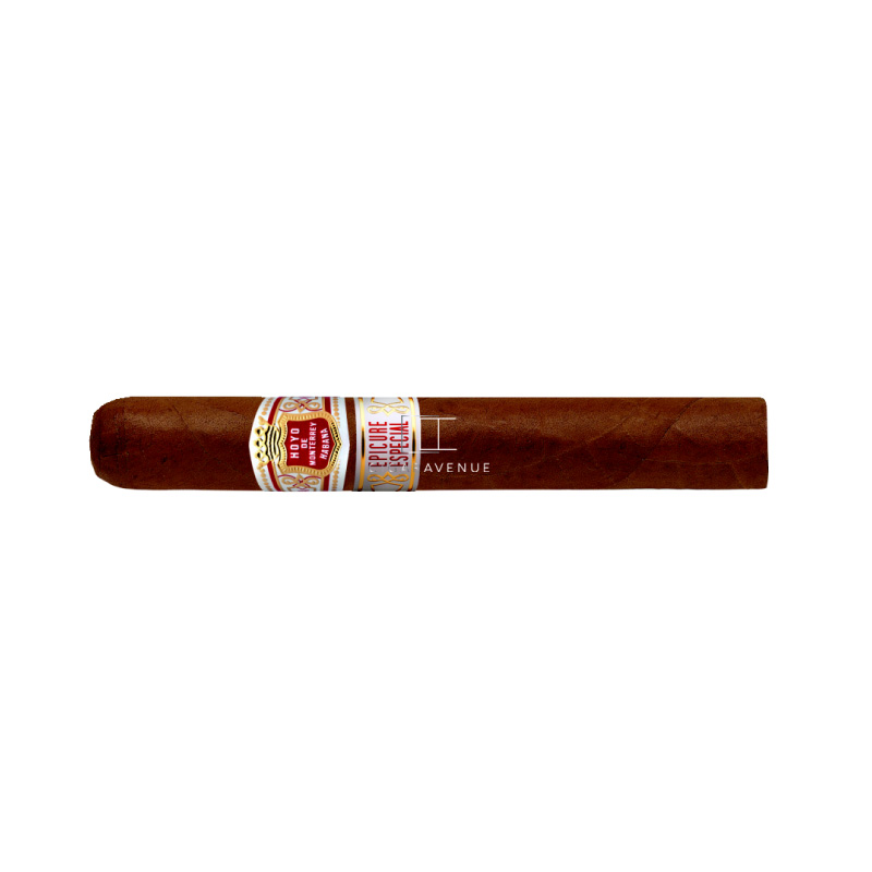 HDM EPICURE ESPECIAL 10 CIGARS