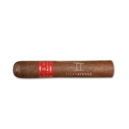 [PA152] PARTAGAS SERIE D NO.5 10 CIGARS